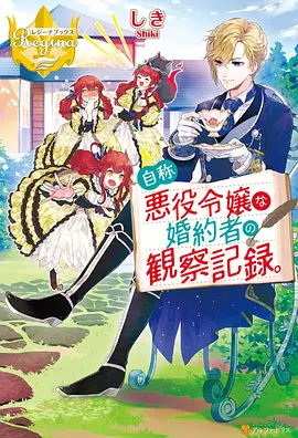 回声实验 纪录片海报